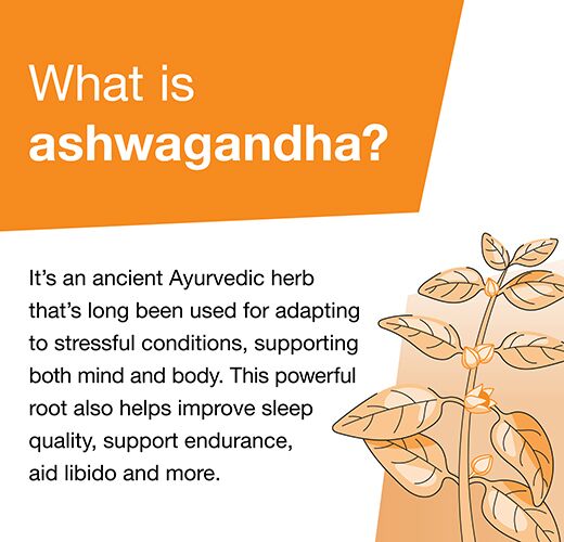 Ashwagandha 600mg - Image 2