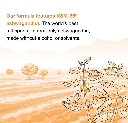 Ashwagandha 600mg - Image 5