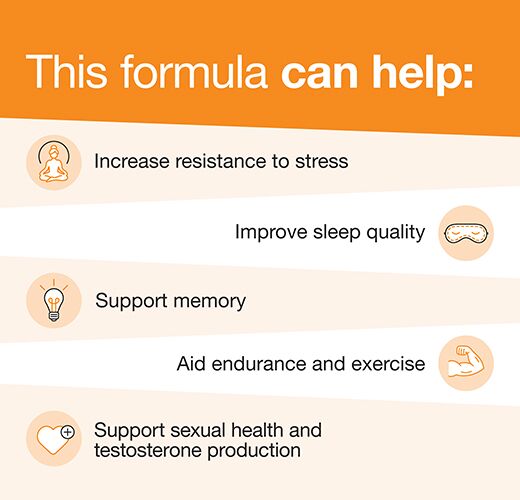 Ashwagandha 600mg - Image 4