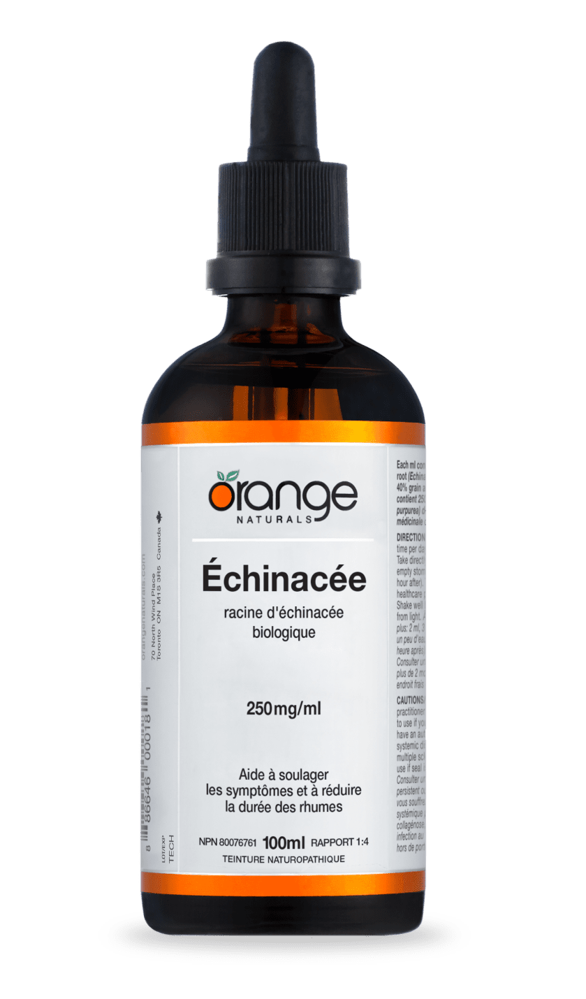 Échinacée teinture-mère